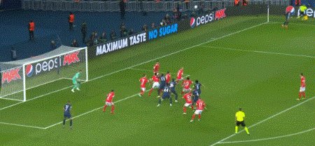 1665530982312036199.gif 1665530982312036199.gif